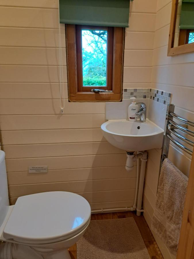 Orchard Farm Luxury Glamping And Campsite Glastonbury Bagian luar foto