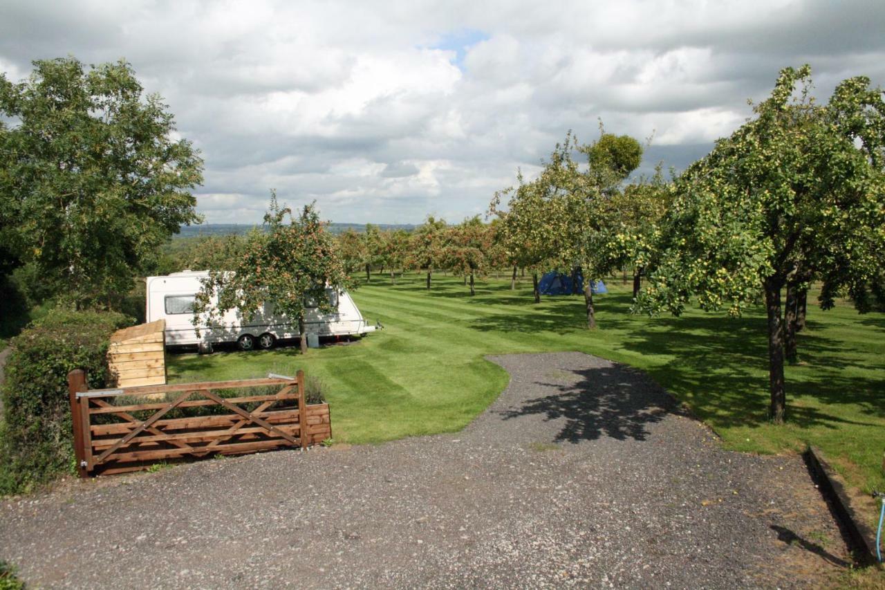 Orchard Farm Luxury Glamping And Campsite Glastonbury Bagian luar foto